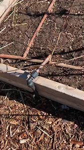 64K views · 59 shares | A farm visit Rustic roots farm | Samah Mh Schumacher | Facebook