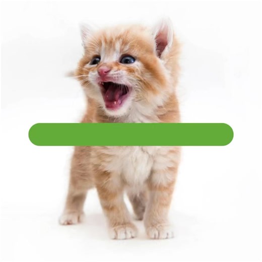 Yakima Humane Society on Reels