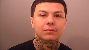 Four face charges for fighting over shoes at Gurnee Mills mall