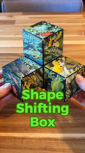 1.7K views · 18 reactions | Watch the Shape Shifting Box transform! #asmrvideo #asmrsounds #puzzle #transformation #fidgettoys #adhdawareness #adhdsupport #autismmom #AutismAwareness #autismfamily | Lanette and Kurt | Facebook