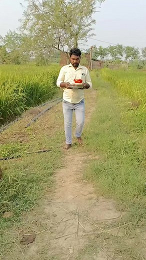 323K views · 34K reactions | mata rani ki mahima//navratri special//#shorts #mata #matarani #bhakti #navratri #special #maakali #vlogershahanishamarth #vlogercutepari #Youtubeshortsviral #youtubeshorts #ytshorts #bhakti #emotional #navratri #viral #hearttouching shahanisamarth vlogs | shahanisamarth vlogs | Facebook