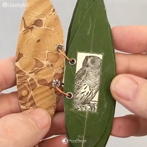 Tiny books for creative souls! 📚 | Power of Positivity