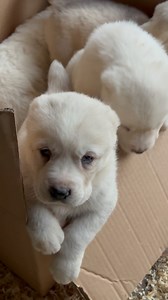 5K reactions · 195 shares | We are already wrapping presents for...