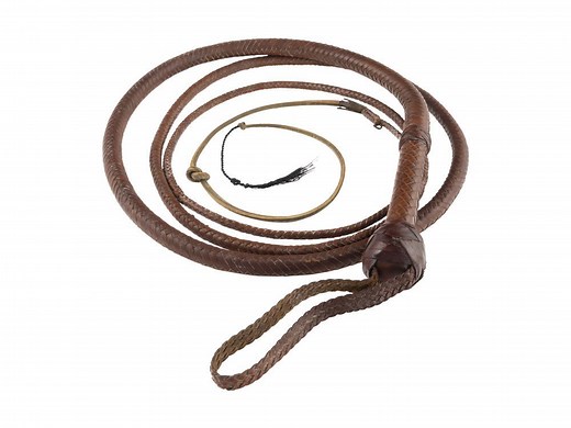 Indiana Jones whip snaps up $525,000 at auction