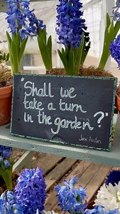 Clumber Park NT on Reels