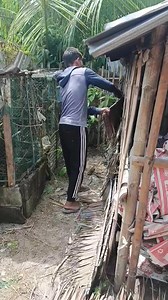 Pag dating galing sa laot paginga lang saglit work nanaman kasi kailangan natin yan para may exercise ang ating katawan mahirap maging tamad #gallegomixblogfishinglife #highlights #share | Gallego Mixblog