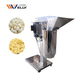 [Hot Item] Factory Directly Supply Garlic Ginger Paste Machine Onion Paste Making Machine