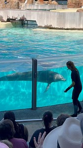 Hello you two, Scott and Marble. #adventure #seaworld | Travisandcousins