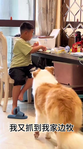 你数学这么好是谁教的？“狗教的” 老师：……..#재미있는영상