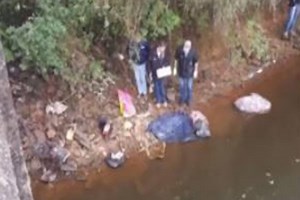 Brasil: dos nenes argentinos fueron brutalmente asesinados en un rito satánico