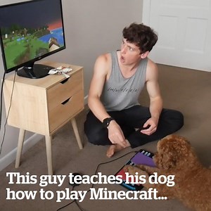 This guy hilariously teaches his dog how to play Minecraft! 😱😅🐶 | VT