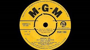 WANTING YOU Lyrics - APRIL STEVENS | eLyrics.net