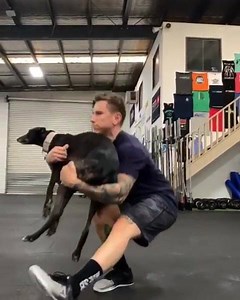 Who would LOVE to do these weighted pistols?🐾 🎥: Kewpie The Greyhound | TWL