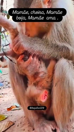 #mamãe #cheira #beija #ama #foryou | Severina Barbosa Nascimento Nascimento