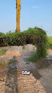 212K views · 1K reactions | This Machine Pulled Out Many Snakes  | History Facts | Facebook