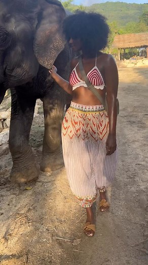 AuJené on Instagram: "I miss her. She has a bad leg from old age and years of abuse, her daily walks helped her a lot 🤍"