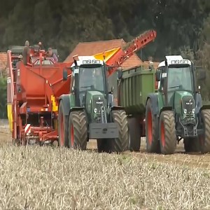 1K views · 24 reactions | Amazing Fruit Harvesting Machines Compilation | Wild Nature | Facebook