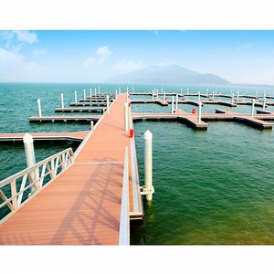 [Hot Item] Aluminium Floating Dock Structure Approach Bridge Platform Pontoon Floats with Gangway