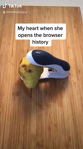 thestaplerguy on TikTok