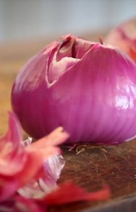 #compostathome with Daily Dump. just order and get it delivered to your doorstep. link in bio | Daily Dump - Compost at Home