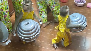 Big Chef Judee Hold The Big Pot To Make Special Dish Recipe | The Judy Family