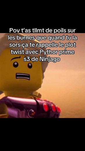 On la voie jms mskn#pourtoi #ninjago #humour #legoninjago #nostalgie