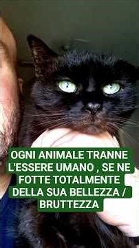 L'essere umano è l'unico animale a farsi pippe mentali per il suo aspetto estetico
