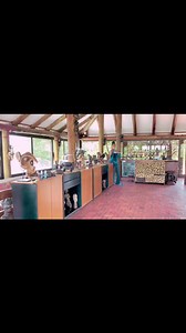 As you prepare for xmas eve, make sure to get yourself Diva body mist from ARU Cosmetics Y'all need to smell good so that babe can hug & hold you tight for a longer time.. kaili hug duration depends on how u smell.. My december is already packed with diva body mist baby 👽 | Bombshell Grenade