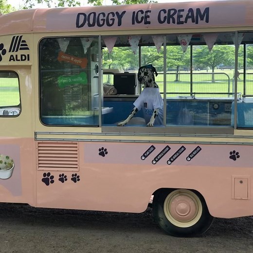 Because even your pooch deserves a soft, cold treat this summer 🐶🍦 | Metro