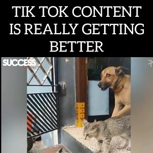 Tik Tok Content is Really Getting Better 藍 | Success - A Journey | Facebook