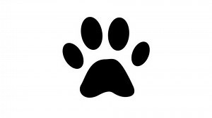Animated Animal Paw Icon Predator Footprint Stock Footage Video (100% Royalty-free) 1064655892 | Shutterstock