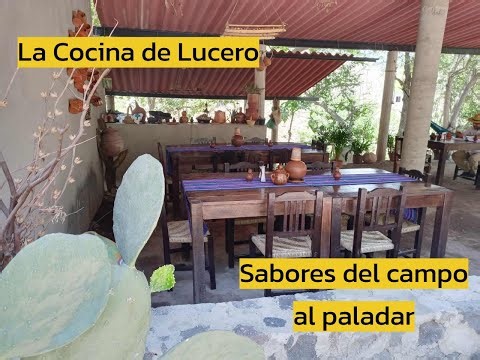 Traditional Colima Cuisine! An Unmissable Culinary Experience | Flavors