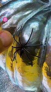 DIY: Sparkling Halloween Pumpkin Transformation #Fabiosa #DIY #viralreels #fyp | Fabiosa Philippines