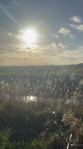 Voel jij de laatste tijd signalen waar je geen vinger op kunt leggen? Moe, koud, brain fog, trage darmen… het zijn signalen die veel vrouwen herkennen, maar niet altijd koppelen aan hun schildklier. ✨ Luister naar je lichaam, het geeft altijd signalen. Een kleine verandering kan al zoveel doen. 💛 Je schildklier speelt een enorme rol in je energie, stemming, temperatuur, stoelgang en zelfs in hoe je haar eruitziet. Het is dus helemaal niet gek als je lichaam iets probeert te vertellen. Wil je we