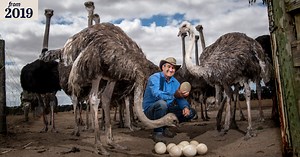 Sex work meets dinosaur farm: Australia's last ostrich farm