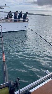 82K views · 255 reactions | Charter fishing plenty of snapper Cherry in Australia #fishing #highlights | Pinoy Australia | Facebook