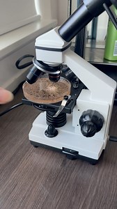 2.2K views · 17 reactions | 100,000 sea monkeys are ready to get pregnant (the females can get pregnant without a male!)  戀 | Jessie JJ | Facebook