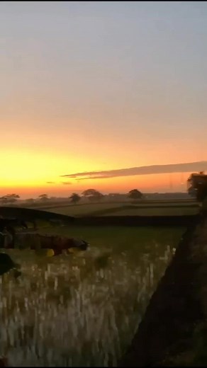 LATIHAN TERAKHIR CALON WARGA 2023 || SALAM PERSAUDARAAN #latihanterakhirpsht #PSHT #pshtpusatmadiun #fyp #foryou #fypシ #CapCut