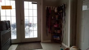 Okey working on long duration Place command. | AFT Dog Training | Facebook