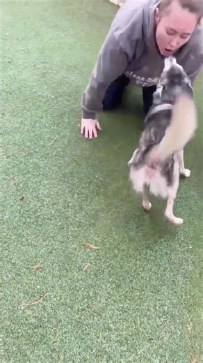 49 reactions | MPA VIP OGs Zero and Luna! | Mount Pleasant Avenue Premier Canine Villas & Spa | Facebook