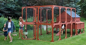 Chicken Coop Assembly Instruction Videos and Guide