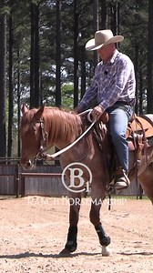 38K views · 731 reactions | A steady pull on the reins will make your horse dull #b1 #beone #es20 #respectthecode | B1 Horsemanship | Facebook