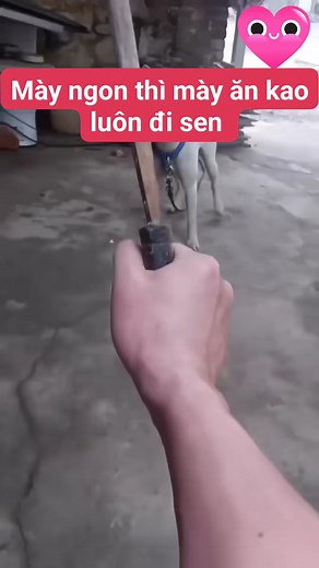 Xem ngay cửa hàng của Hẻm Fashion - Thời Trang Nam trên TikTok! https://vt.tiktok.com/ZShgxNbj8/?page=TikTokShop | OHIO STORE