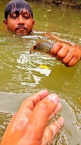 1.2K views | Zebrafish | Kolkata Fishing | Facebook