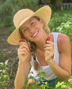 We tested Shark's SpeedStyle Hair Dryer