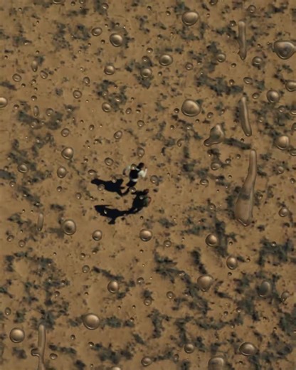 喝To bleed is to believe.喝 Witness the descent from dreams to nightmares, with HIM. 喝 ️ Soon at Caribbean Cinemas | Caribbean Cinemas US Virgin Islands | Facebook