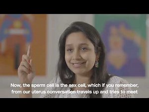 Sex Ed Basics | Module 4.1 | Anatomy of people with penises