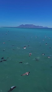 Cape Town has been nominated for the prestigious Wanderlust Travel Magazine Reader Travel Awards in the Most Desirable City – Rest of the World category! 😁 The annual awards spotlight the most-desirable destinations, tour operators, and travel brands.🏆 📹: @eye_am_dad_adventures #capetown #lovecapetown #capetownsouthafrica #kapstadt #kaapstad #lecap #kapstaden | Love Cape Town