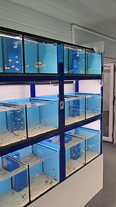 20K views · 255 reactions | Don't expect too much from the initial...