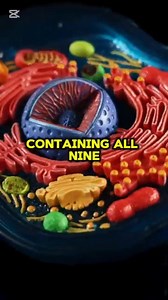 This Happens to your BODY when you eat QUINOA #StarsEverywhere #healthylifestyle #healthyliving | Zeno Chikelu